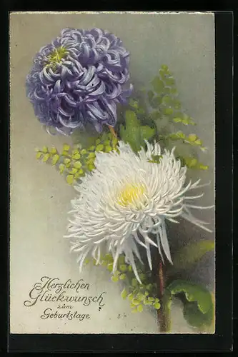 Künstler-AK Photochromie Nr. 4057: weiss und lila blühende Blumen mit Geburtstagsgruss