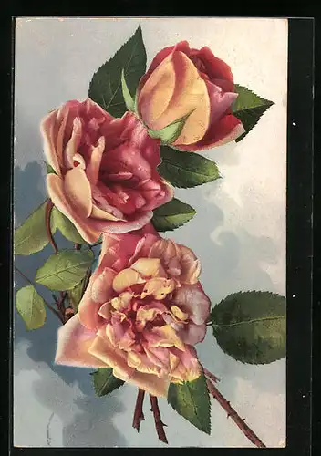 Künstler-AK Photochromie Nr. 1015: orange blühende Rosen