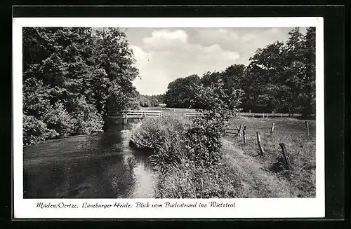 AK Müden /Oertze, Lüneburger Heide, Blick vom Badestrand ins Wietzteal