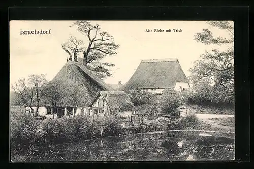 AK Israelsdorf, Alte Eiche mit Teich