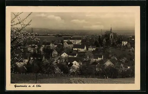 AK Gauernitz a. d. Elbe, Totalansicht