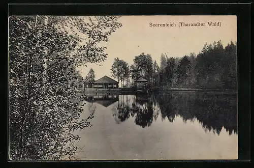 AK Grillenburg, am Seerenteich