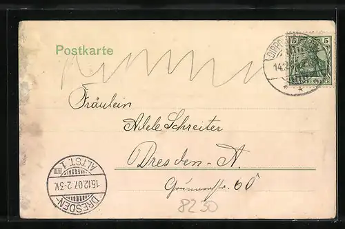 AK Dippoldiswalde, Gebäudeansichten