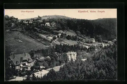 AK Kipsdorf / Sächs. Erzgeb., Gesamtansicht