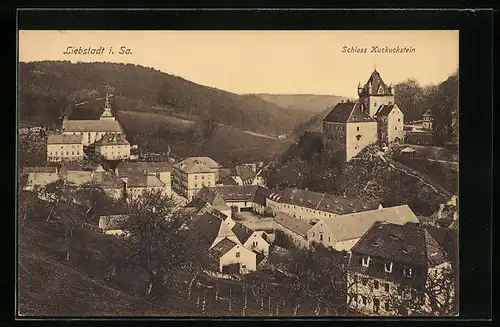 AK Liebstadt i. Sa., Teilansicht mit Schloss Kuckuckstein