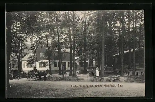 AK Neustadt i. Sa., Gasthaus Hohwaldschänke