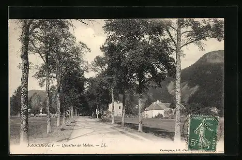 AK Faucogney, Quartier de Molan