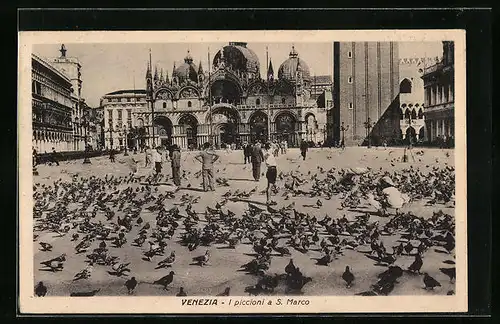 AK Venezia, I piccioni a S. Marco