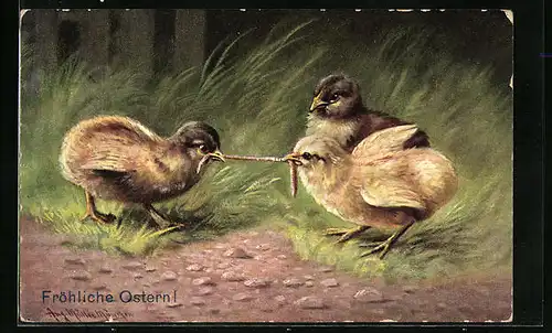 Künstler-AK August Müller - München: Drei Küken mit einerm Wurm, Ostergruss