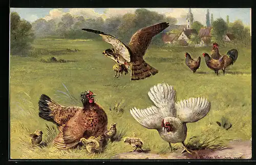Künstler-AK August Müller - München: Falke greift Küken