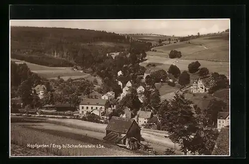 AK Hopfgarten / Erzgeb., Totalansicht