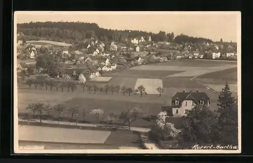 AK Hartha, Totalansicht