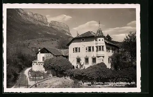 AK Appiano-Monte, Haus Kronhof mit Strasse