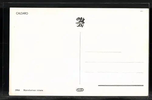 AK Caldaro, Ortsansicht mit Strassenpartie