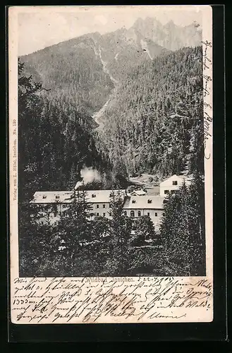 AK Wildbad Innichen, Ortspartie vor Bergpanorama