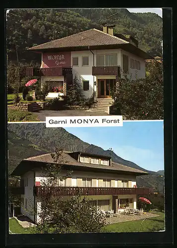 AK Frost bei Meran, Pension Garni Monya, Brauhausstrasse 13, Terrasse