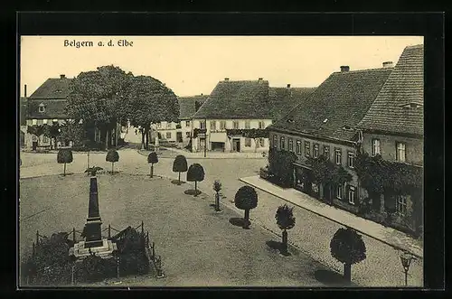 AK Belgern a. d. Elbe, Ortsansicht aus der Vogelschau