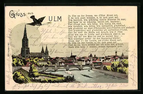 Lithographie Ulm, Totalansicht mit Donau