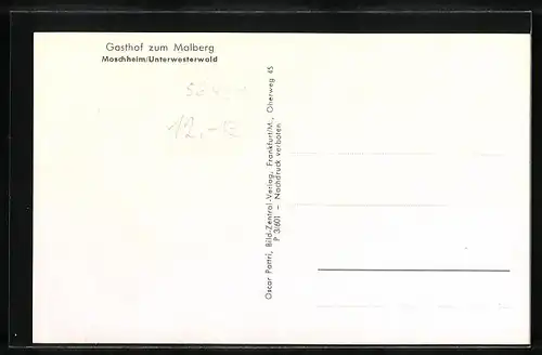 AK Moschheim i. Unterwesterwald, Totalansicht mit Gasthof zum Malberg