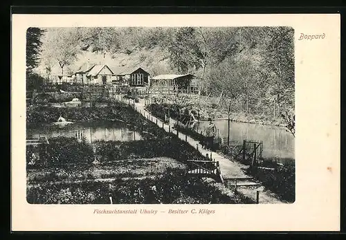 AK Boppard, Fischzuchtanstalt Uhuley