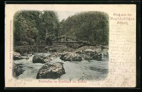 Relief-AK Jocketa, Loreleysteg im Triebthale