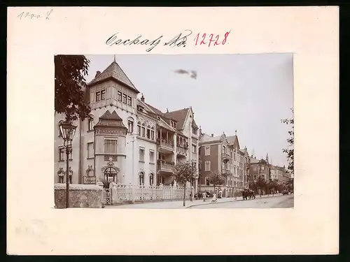 Fotografie Brück & Sohn Meissen, Ansicht Oschatz, Untere Promenade mit Wohnhäusern, Photogr. Atelier Victoria