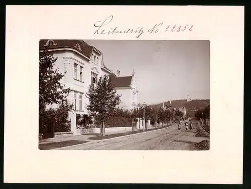Fotografie Brück & Sohn Meissen, Ansicht Leitmeritz / Elbe, Villenviertel mit Blick nach der Kaiser Franz Josephs Höhe