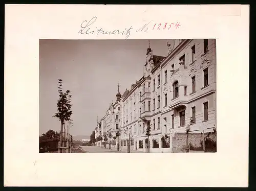 Fotografie Brück & Sohn Meissen, Ansicht Leitmeritz / Elbe, Partie in der Lippertgasse mit Wohnhäusern