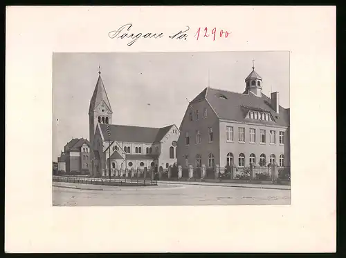 Fotografie Brück & Sohn Meissen, Ansicht Torgau / Elbe, Partie an der Katholischen Kirche