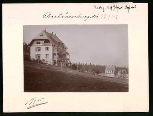 Fotografie Brück & Sohn Meissen, Ansicht Oberbärenburg i. Erzg., Blick auf die Villen an der Hermannshöhe
