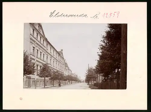 Fotografie Brück & Sohn Meissen, Ansicht Elsterwerda, Häuserpartie in der Elsterstrasse, Knabe mit Fahrrad