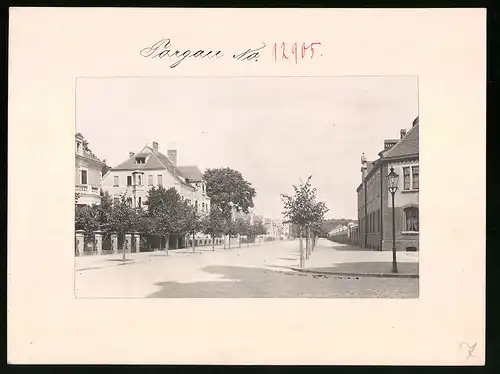 Fotografie Brück & Sohn Meissen, Ansicht Torgau, Blick auf die Wohnhäuser im Nordring