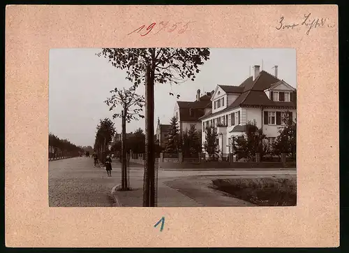 Fotografie Brück & Sohn Meissen, Ansicht Senftenberg, Wohnhäuser in der Bahnhofstrasse und Albertstrasse