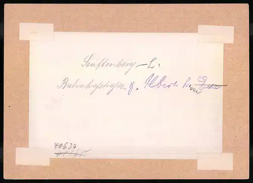 Fotografie Brück & Sohn Meissen, Ansicht Senftenberg, Wohnhäuser in der Bahnhofstrasse und Albertstrasse