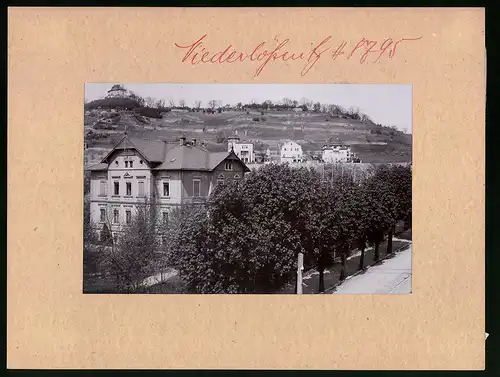 Fotografie Brück & Sohn Meissen, Ansicht Kötzschenbroda-Niederlössnitz, Blick auf die Villenkolonie Altfriedstein