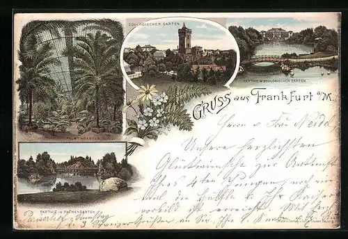 Vorläufer-Lithographie Frankfurt-Westend, Zoologischer Garten mit Partie im Palmengarten 1894