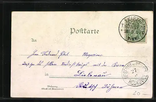 Lithographie Leipzig, Totalansicht mit Bootspartie