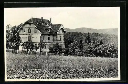 AK Bad Sachsa /Südharz, Haus Warteberg