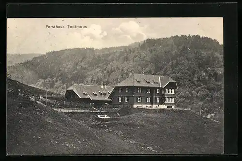 AK Todtmoos, Partie am Forsthaus, Gasthof