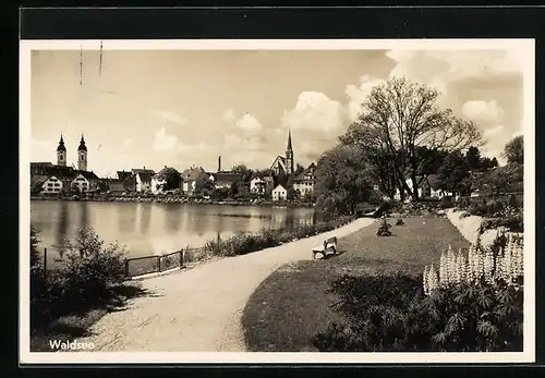 AK Waldsee, Partie am Ufer, Doppelturmfassade