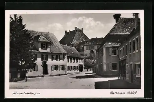 AK Wassertrüdingen, Partie am Schloss