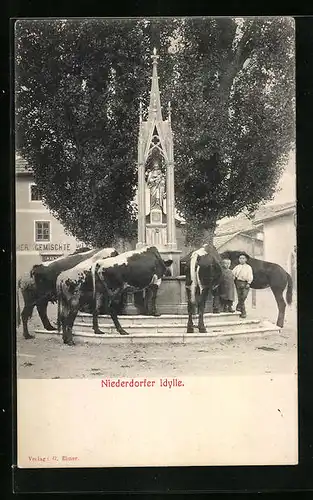 AK Niederdorf, Idylle mit Kühen am Brunnen