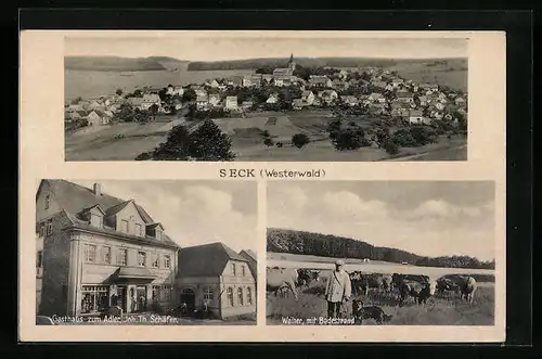 AK Seck /Westerwald, Gasthaus zum Adler, Weiher mit Kühen und Badestrand, Teilansicht