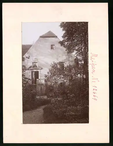 Fotografie Brück & Sohn Meissen, Ansicht Meissen i. Sa., Blick auf das Landhaus Schlimpert, Gartenpartie