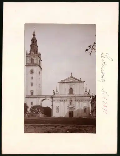 Fotografie Brück & Sohn Meissen, Ansicht Leitmeritz, Blick auf die Domkirche