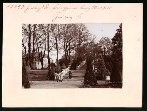 Fotografie Brück & Sohn Meissen, Ansicht Freiberg i. Sa., Blick auf die Freitreppe im König Albert Park