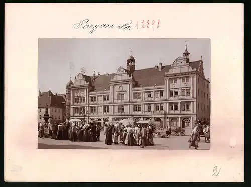 Fotografie Brück & Sohn Meissen, Ansicht Torgau / Elbe, Marktstände vor dem Rathaus