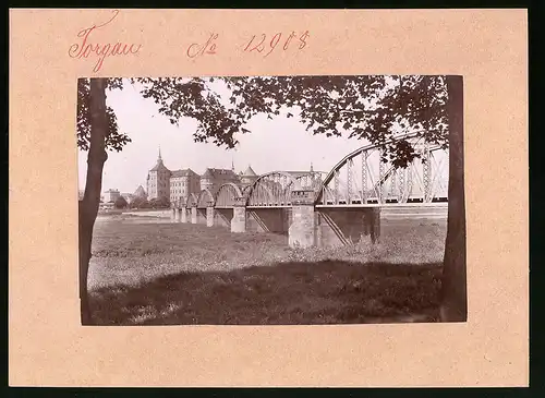 Fotografie Brück & Sohn Meissen, Ansicht Torgau / Elbe, Blick auf die Elbbrücke, Stahlbrücke mit Blick zum Ort