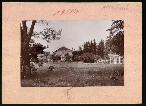 Fotografie Brück & Sohn Meissen, Ansicht Schwepnitz, Blick auf das Schloss vom Park aus gesehen