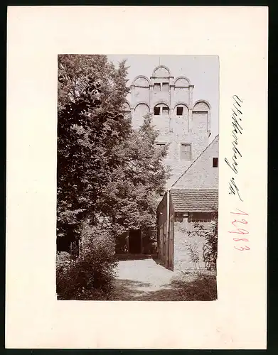 Fotografie Brück & Sohn Meissen, Ansicht Wittenberg / Elbe, Gartenansicht vom Melanchthonhaus